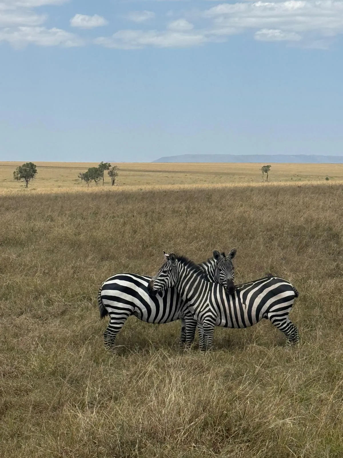 6 Days Delightful Kenya Safari