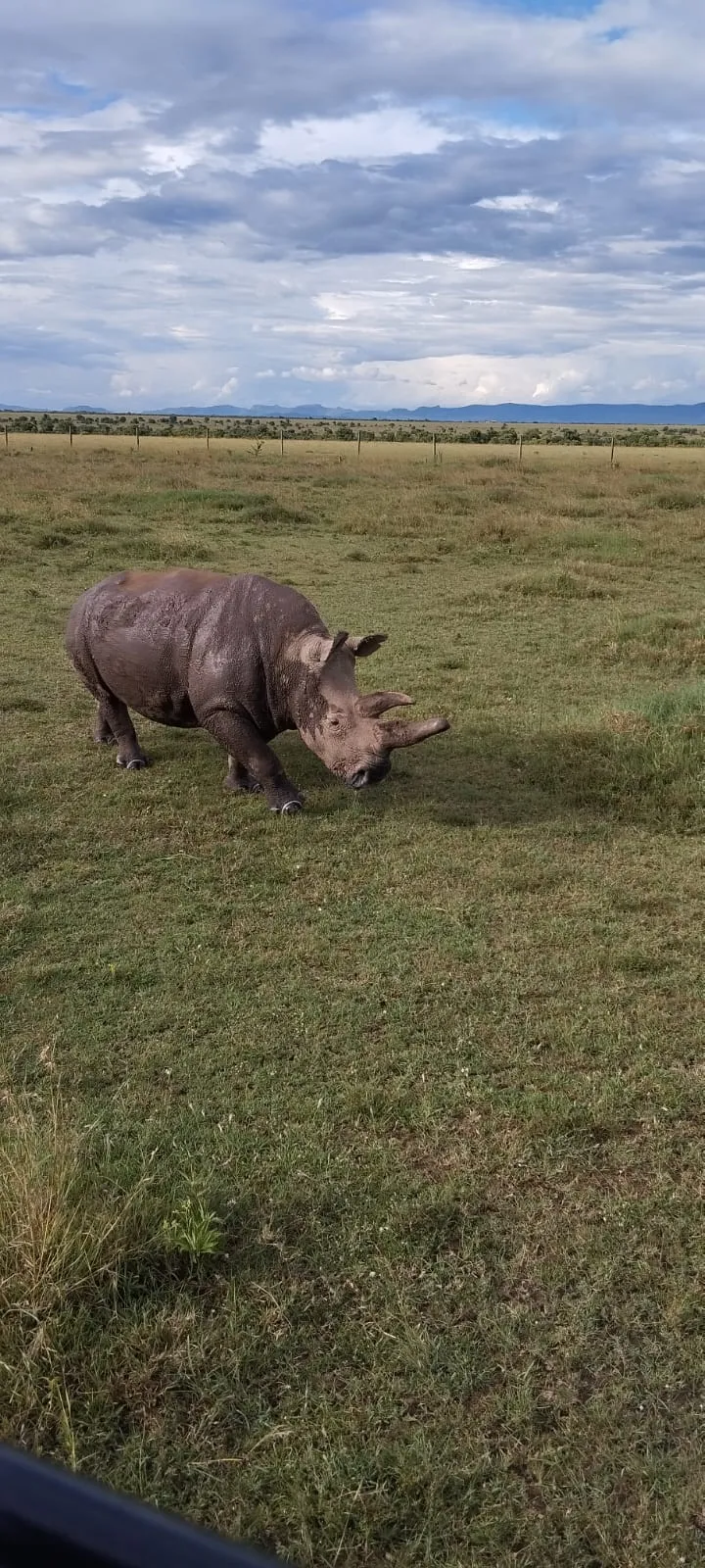 6 Days Kili Safari