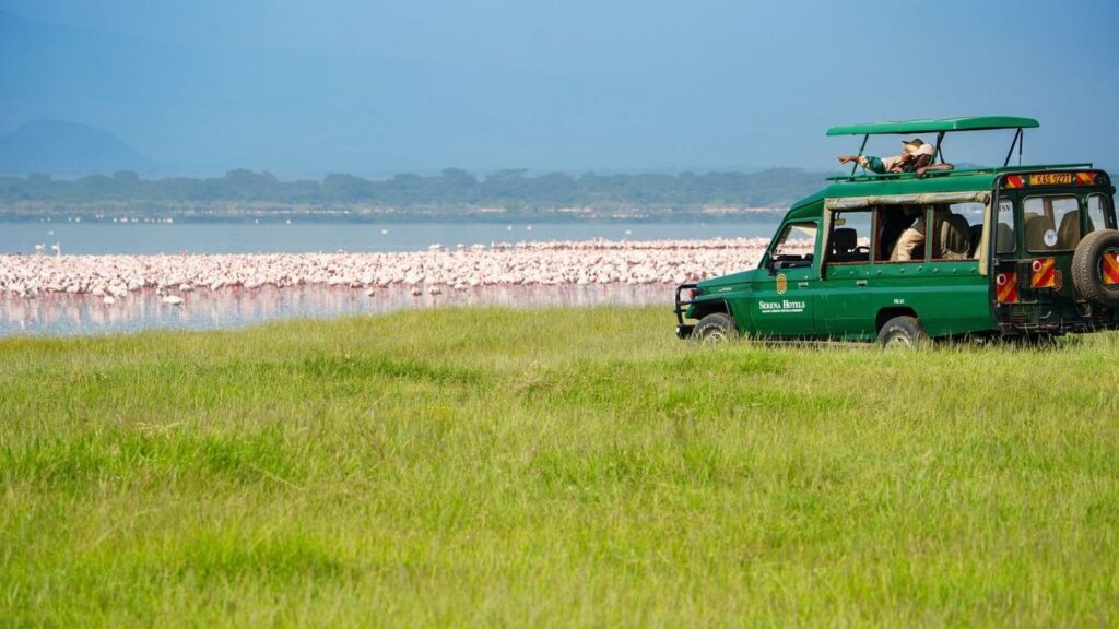 4 Days Lake Elementaita & Lake Nakuru National Park by Road